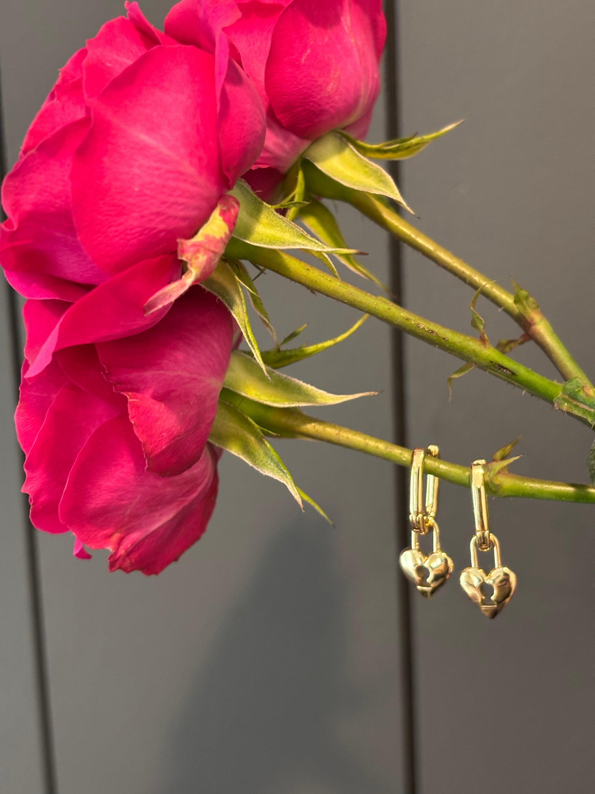 Close up of the locket earrings on a rose against a black wall. 